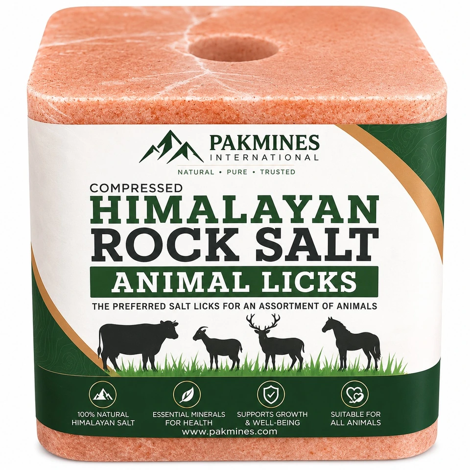 Compressed Himalayan Rock Salt Lick
