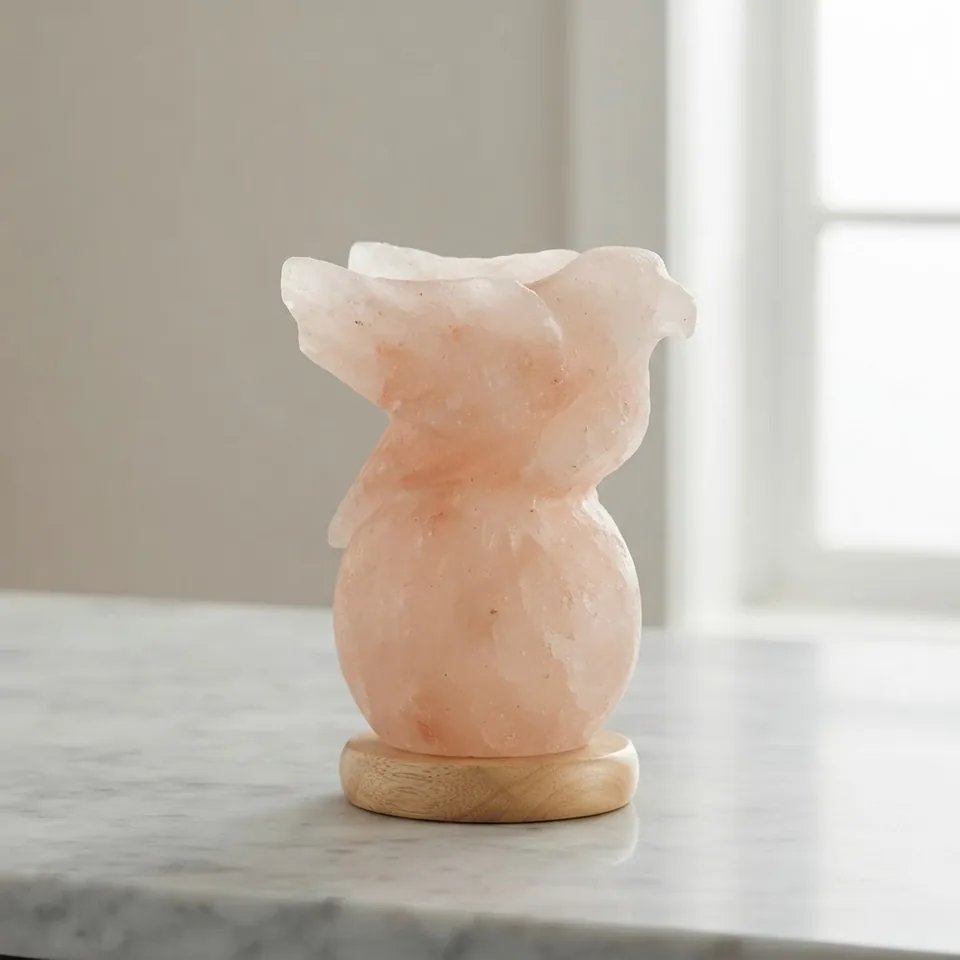 Figure Shape Salt Lamp – Eagle On Globe - View 4