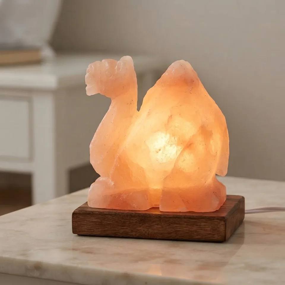 Figure Shape Salt Lamp – Camel - View 4